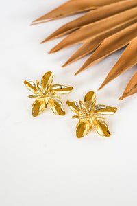 EA035283 | Shop Bali Queen