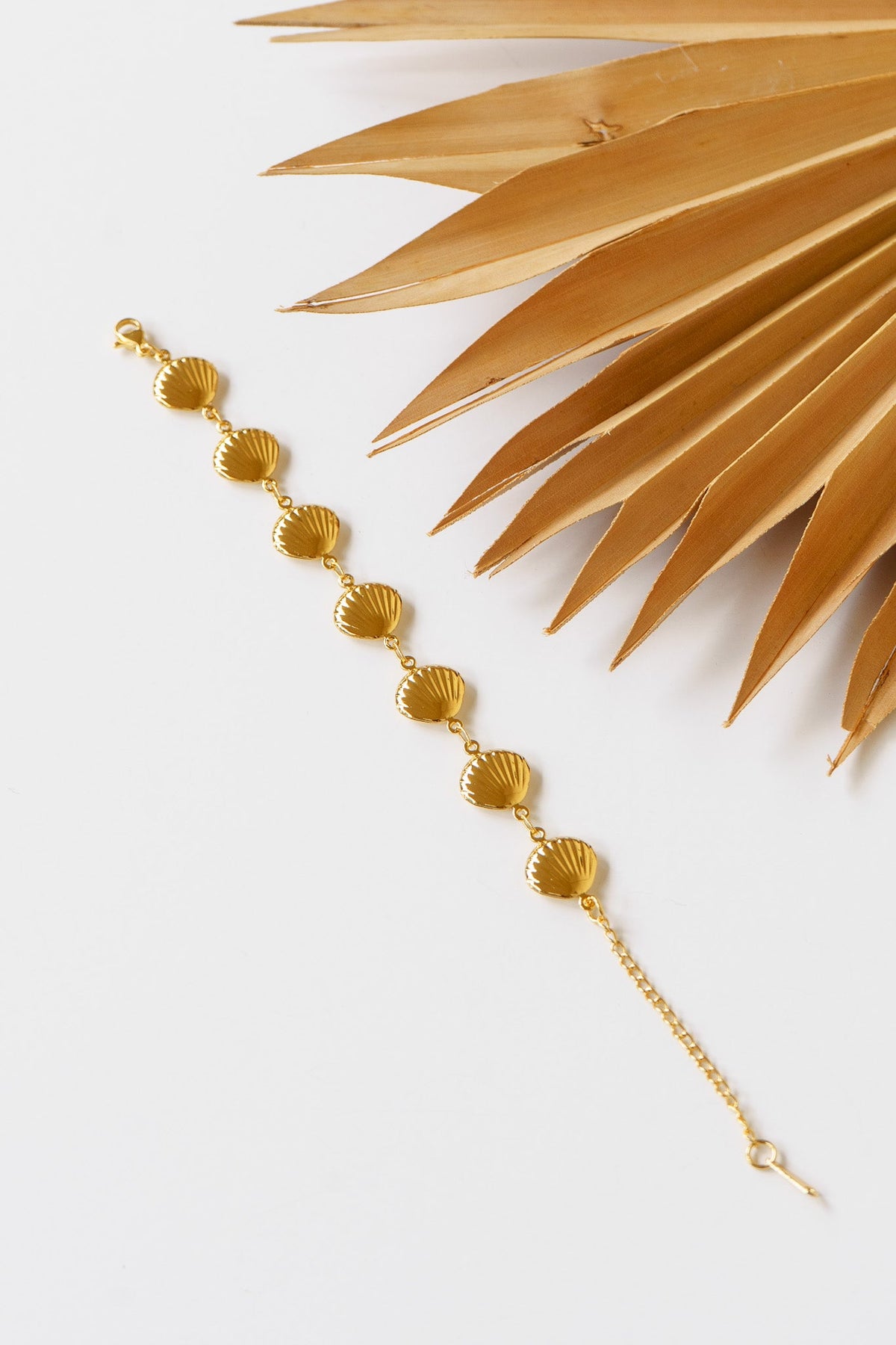 Golden Shell Bracelet | Shop Coco Rose Boutique Beach & Resort Wear