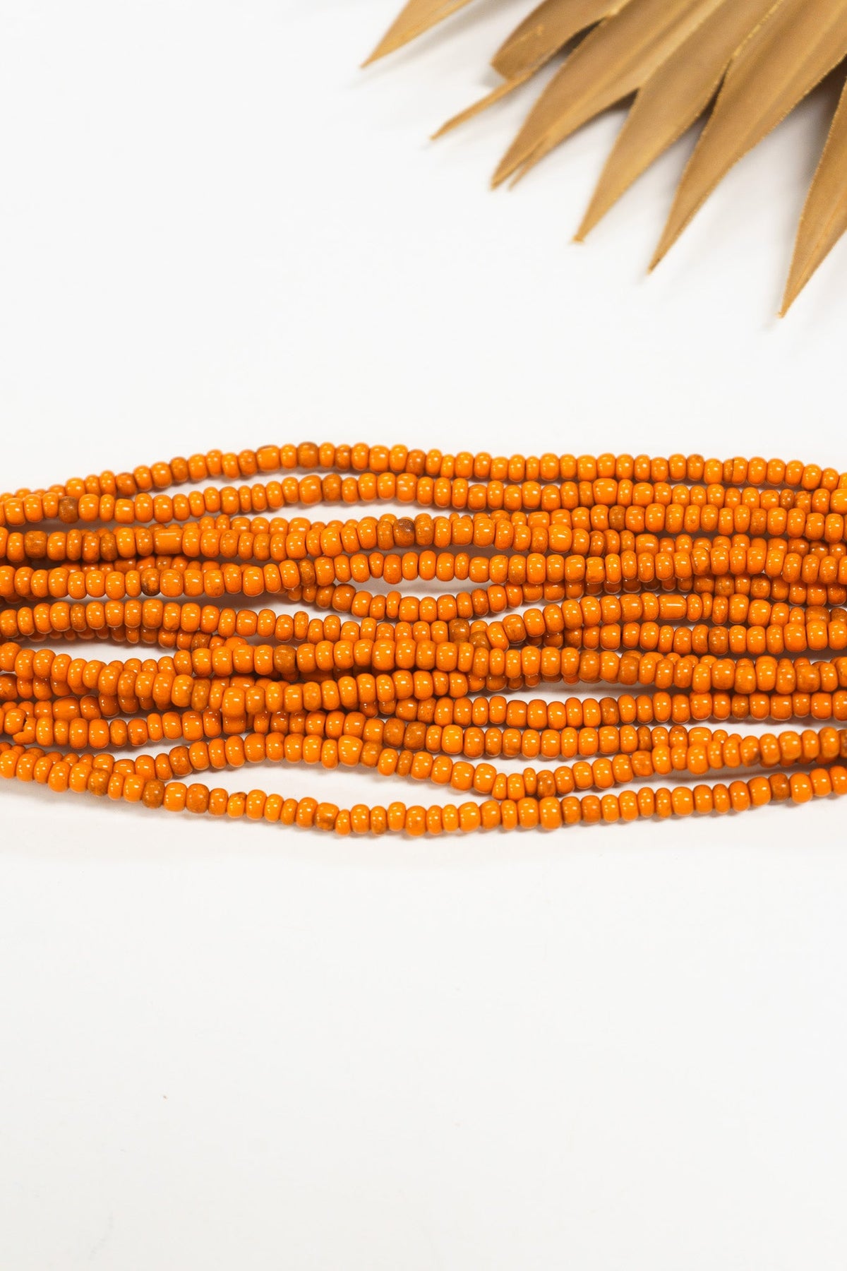 Solid Big Buck Bracelet | Shop Coco Rose Boutique Beach & Resort Wear