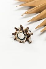 Twisted Turbo Shell Ring