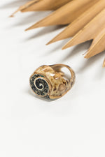 Storm Spiral Shell Ring