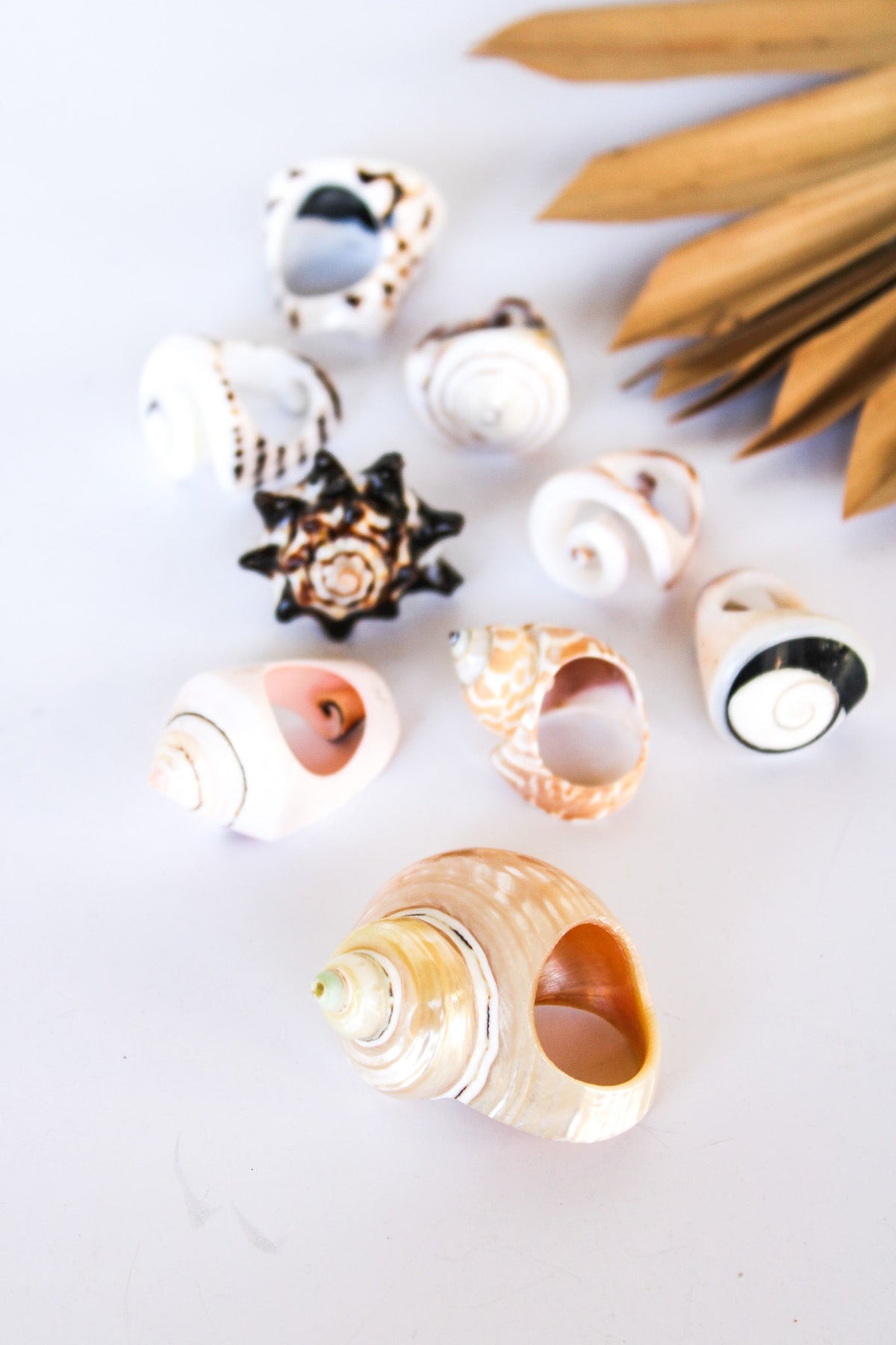 Bali Shell Rings | Shop Bali Queen