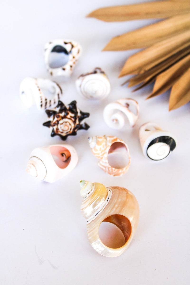 Bali Shell Rings | Shop Bali Queen