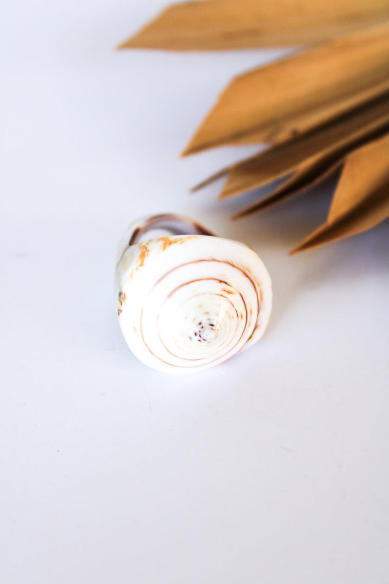 Bali Shell Rings | Shop Bali Queen