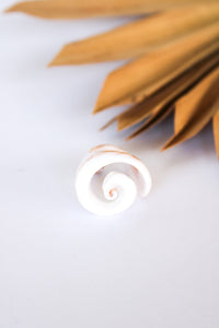 Bali Shell Rings | Shop Bali Queen