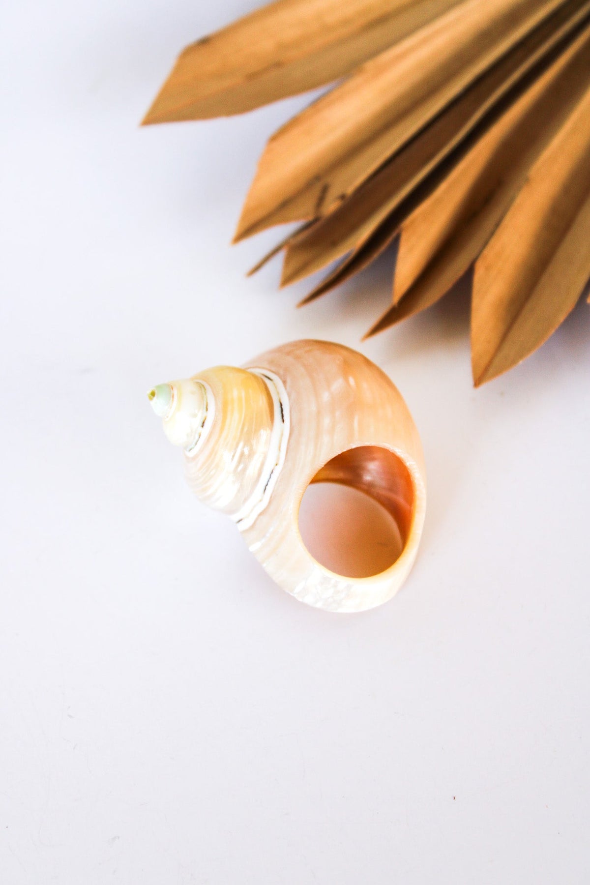 Bali Shell Rings | Shop Bali Queen