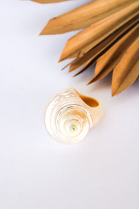 Bali Shell Rings | Shop Bali Queen