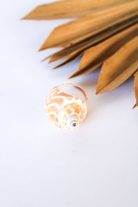 Bali Shell Rings | Shop Bali Queen