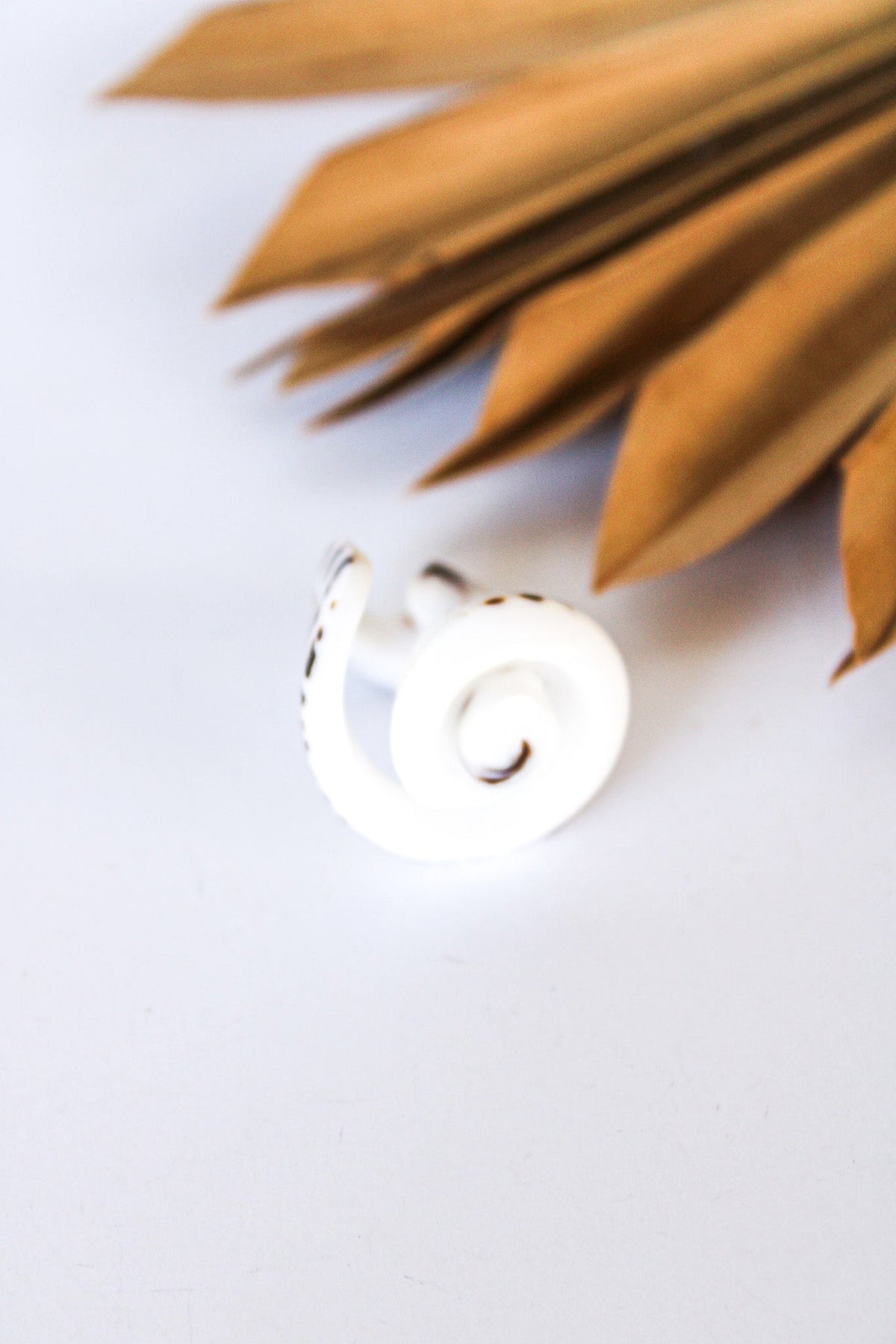 Bali Shell Rings | Shop Bali Queen